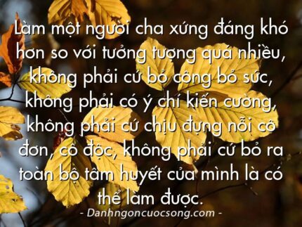 Làm một người cha xứng đáng khó hơn so với tưởng tượng quá nhiều, không phải cứ bỏ công bỏ sức, không phải có ý chí kiến cường, không phải cứ chịu đựng nỗi cô đơn, cô độc, không phải cứ bỏ ra toàn bộ tâm huyết của mình là có thể làm được.