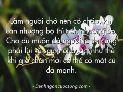 Làm người chớ nên cố chấp, khi cần nhượng bộ thì nên nhượng bộ. Cho dù muốn đá người ta thì cũng phải lùi về sau một bước, như thế khi giơ chân mới có thể có một cú đá mạnh.