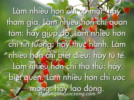 Làm nhiều hơn chỉ có mặt: hãy tham gia. Làm nhiều hơn chỉ quan tâm: hãy giúp đỡ. Làm nhiều hơn chỉ tin tưởng: hãy thực hành. Làm nhiều hơn chỉ biết điều: hãy tử tế. Làm nhiều hơn chỉ tha thứ: hãy biết quên. Làm nhiều hơn chỉ ước mong: hãy lao động.