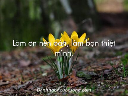 Làm ơn nên oán, làm bạn thiệt mình.