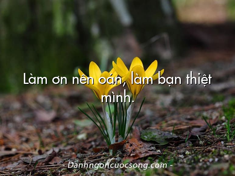 Làm ơn nên oán, làm bạn thiệt mình.