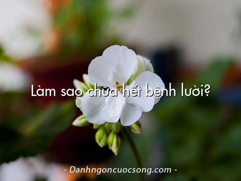 Làm sao chữa hết bệnh lười?