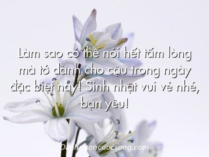 Làm sao có thể nói hết tấm lòng mà tớ dành cho cậu trong ngày đặc biệt này! Sinh nhật vui vẻ nhé, bạn yêu!