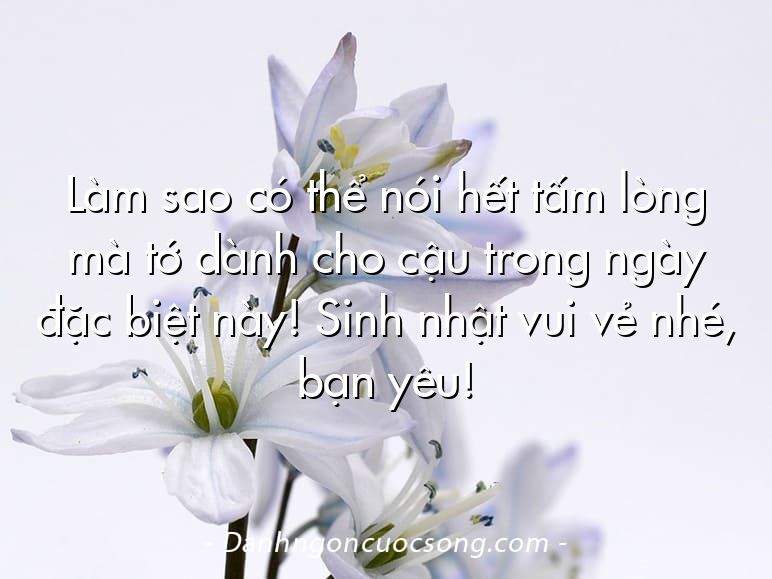 Làm sao có thể nói hết tấm lòng mà tớ dành cho cậu trong ngày đặc biệt này! Sinh nhật vui vẻ nhé, bạn yêu!