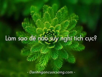 Làm sao để não suy nghĩ tích cực?