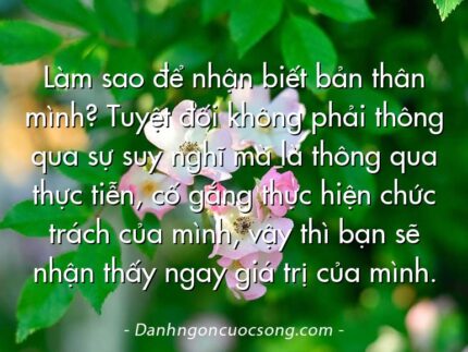 Làm sao để nhận biết bản thân mình? Tuyệt đối không phải thông qua sự suy nghĩ mà là thông qua thực tiễn, cố gắng thực hiện chức trách của mình, vậy thì bạn sẽ nhận thấy ngay giá trị của mình.