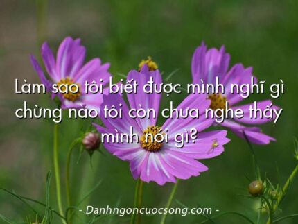 Làm sao tôi biết được mình nghĩ gì chừng nào tôi còn chưa nghe thấy mình nói gì?