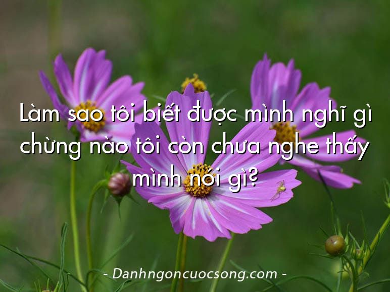 Làm sao tôi biết được mình nghĩ gì chừng nào tôi còn chưa nghe thấy mình nói gì?
