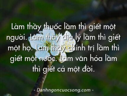 Làm thầy thuốc lầm thì giết một người. Làm thầy địa lý lầm thì giết một họ. Làm thầy chính trị lầm thì giết một nước. Làm văn hóa lầm thì giết cả một đời.