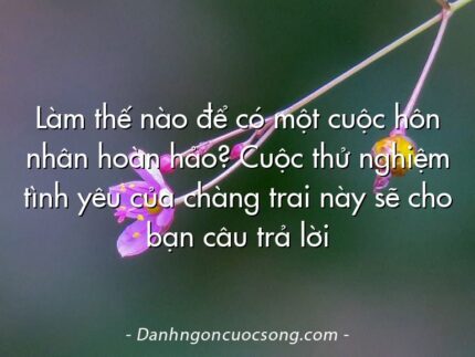 Làm thế nào để có một cuộc hôn nhân hoàn hảo? Cuộc thử nghiệm tình yêu của chàng trai này sẽ cho bạn câu trả lời