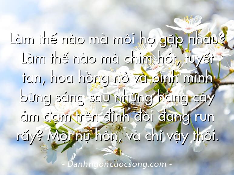 Làm thế nào mà môi họ gặp nhau? Làm thế nào mà chim hót, tuyết tan, hoa hồng nở và bình minh bừng sáng sau những hàng cây ảm đạm trên đỉnh đồi đang run rẩy? Một nụ hôn, và chỉ vậy thôi.