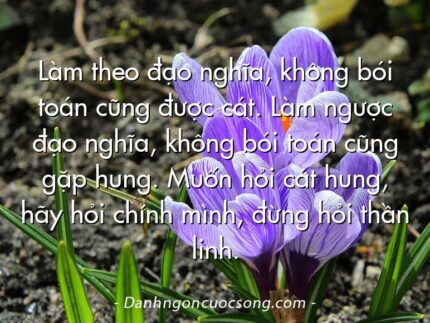 Làm theo đạo nghĩa, không bói toán cũng được cát. Làm ngược đạo nghĩa, không bói toán cũng gặp hung. Muốn hỏi cát hung, hãy hỏi chính mình, đừng hỏi thần linh.