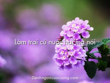 Làm trai cứ nước hai mà nói