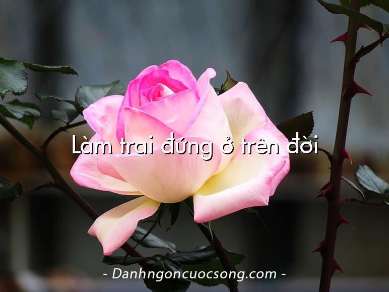 Làm trai đứng ở trên đời