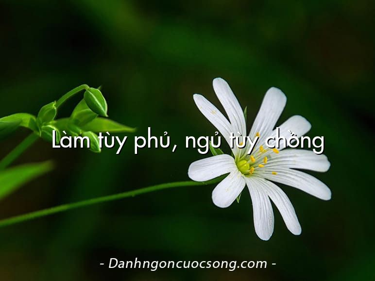 Làm tùy phủ, ngủ tùy chồng