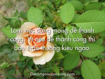 Làm việc đừng mong dễ thành công. Vì nếu dễ thành công thì bản thân thường kiêu ngạo.
