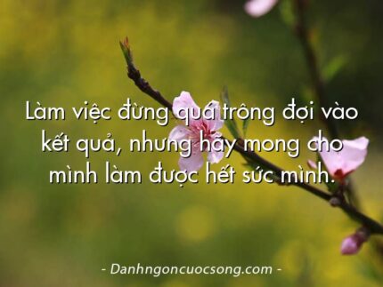 Làm việc đừng quá trông đợi vào kết quả, nhưng hãy mong cho mình làm được hết sức mình.