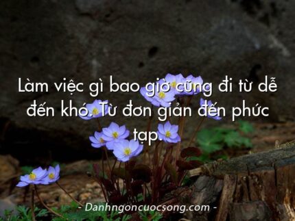Làm việc gì bao giờ cũng đi từ dễ đến khó. Từ đơn giản đến phức tạp.