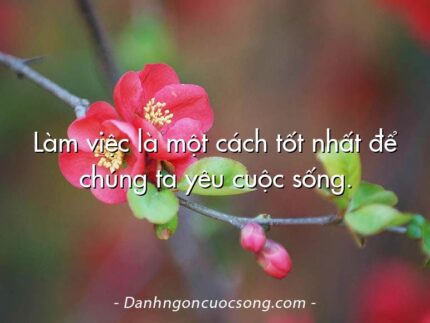 Làm việc là một cách tốt nhất để chúng ta yêu cuộc sống.