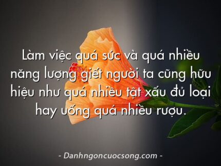 Làm việc quá sức và quá nhiều năng lượng giết người ta cũng hữu hiệu như quá nhiều tật xấu đủ loại hay uống quá nhiều rượu.