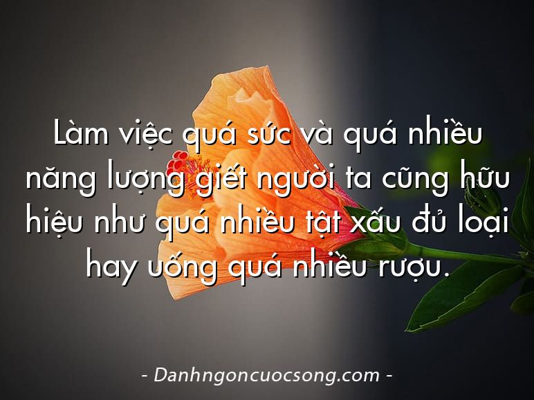 Làm việc quá sức và quá nhiều năng lượng giết người ta cũng hữu hiệu như quá nhiều tật xấu đủ loại hay uống quá nhiều rượu.