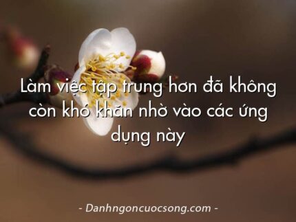 Làm việc tập trung hơn đã không còn khó khăn nhờ vào các ứng dụng này