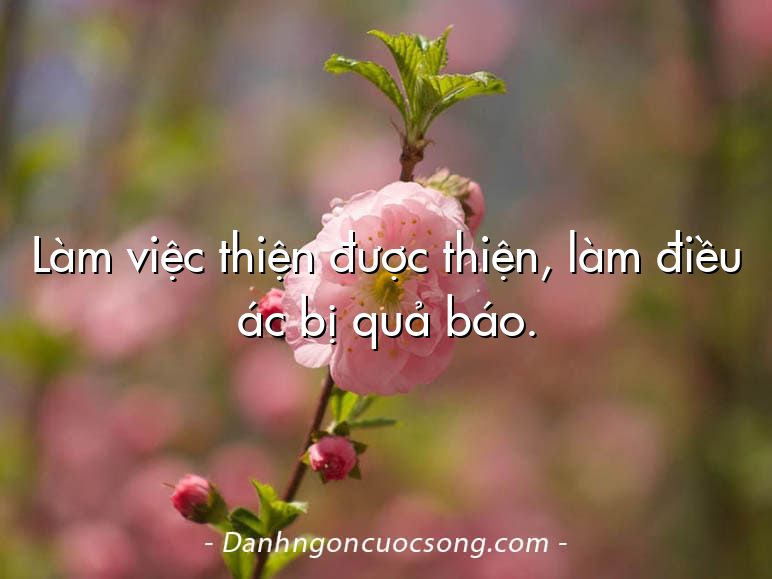 Làm việc thiện được thiện, làm điều ác bị quả báo.