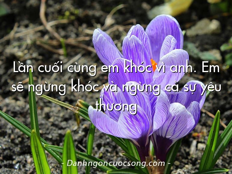 Lần cuối cùng em khóc vì anh. Em sẽ ngừng khóc và ngừng cả sự yêu thương