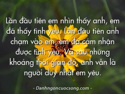 Lần đầu tiên em nhìn thấy anh, em đã thấy tình yêu. Lần đầu tiên anh chạm vào em, em đã cảm nhận được tình yêu. Và sau những khoảng thời gian đó, anh vẫn là người duy nhất em yêu.