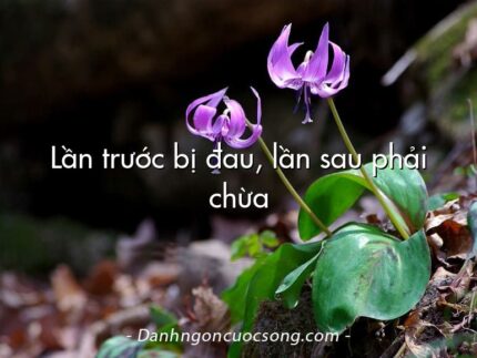 Lần trước bị đau, lần sau phải chừa