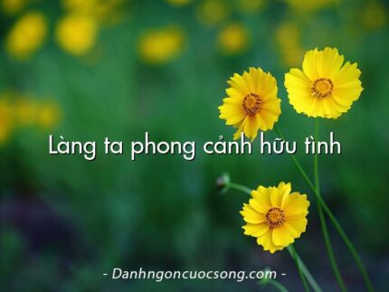 Làng ta phong cảnh hữu tình
