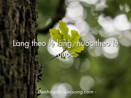 Làng theo lệ làng, nước theo lệ nước