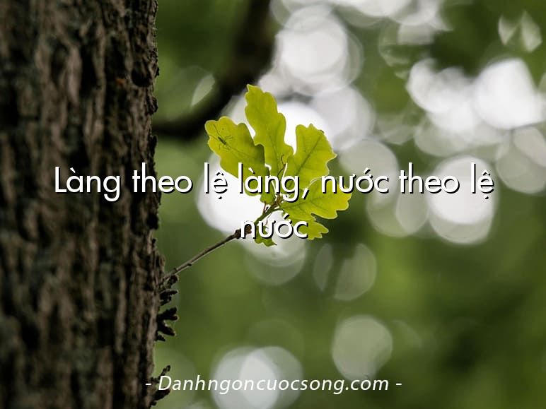Làng theo lệ làng, nước theo lệ nước