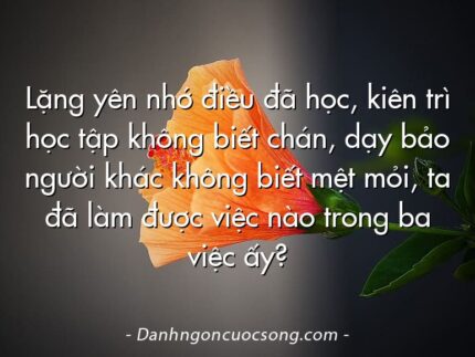Lặng yên nhớ điều đã học, kiên trì học tập không biết chán, dạy bảo người khác không biết mệt mỏi, ta đã làm được việc nào trong ba việc ấy?
