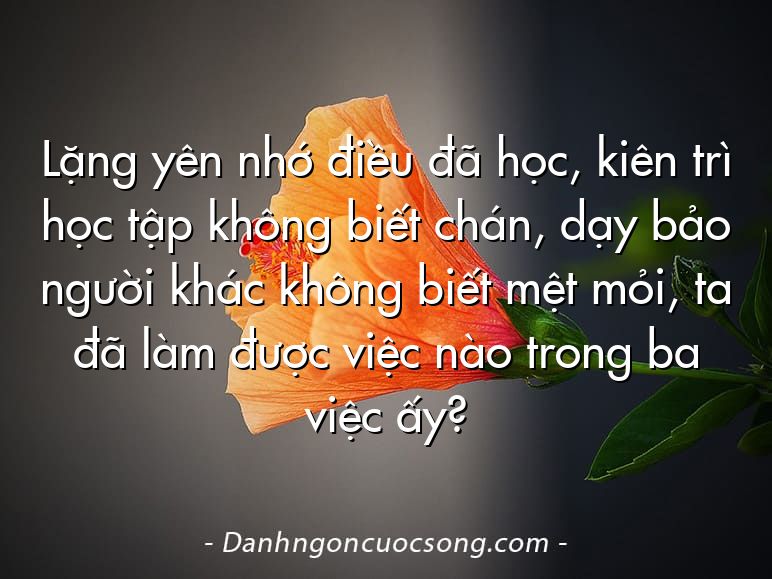 Lặng yên nhớ điều đã học, kiên trì học tập không biết chán, dạy bảo người khác không biết mệt mỏi, ta đã làm được việc nào trong ba việc ấy?