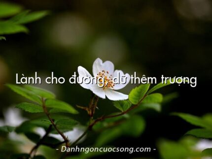 Lành cho đường, dữ thêm trượng