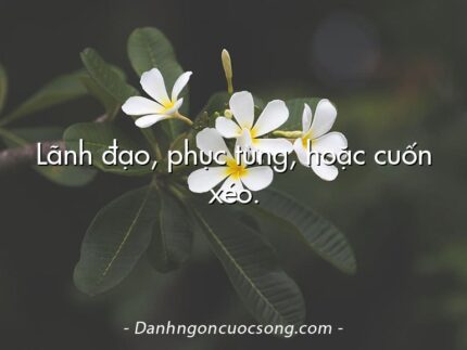 Lãnh đạo, phục tùng, hoặc cuốn xéo.