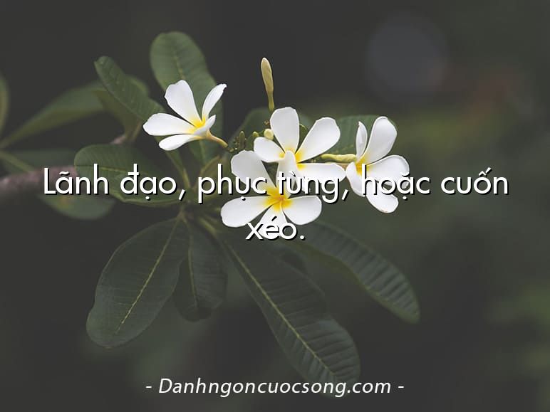 Lãnh đạo, phục tùng, hoặc cuốn xéo.