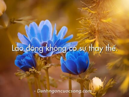 Lao động không có sự thay thế.