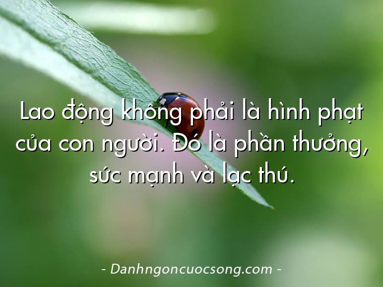 Lao động không phải là hình phạt của con người. Đó là phần thưởng, sức mạnh và lạc thú.