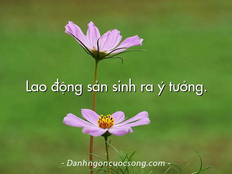Lao động sản sinh ra ý tưởng.