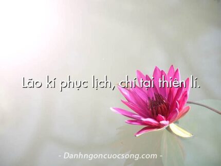 Lão kí phục lịch, chí tại thiên lí.