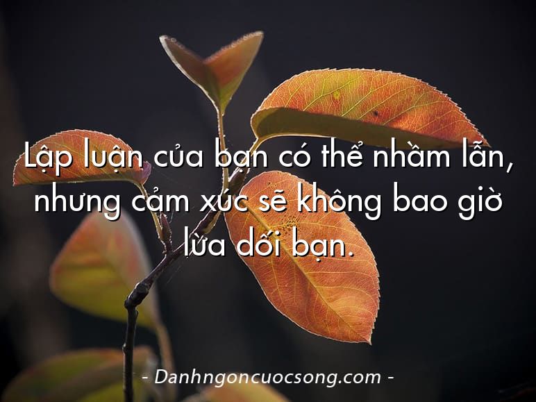 Lập luận của bạn có thể nhầm lẫn, nhưng cảm xúc sẽ không bao giờ lừa dối bạn.