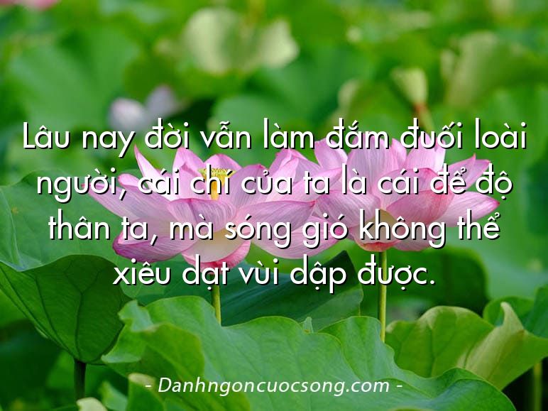 Lâu nay đời vẫn làm đắm đuối loài người, cái chí của ta là cái để độ thân ta, mà sóng gió không thể xiêu dạt vùi dập được.