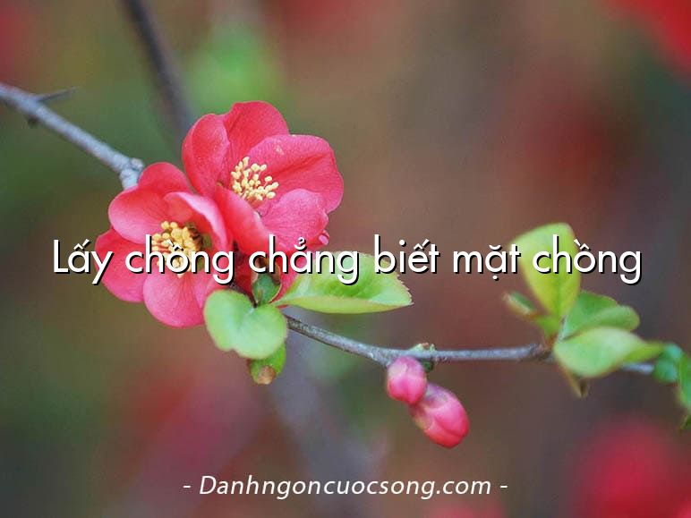 Lấy chồng chẳng biết mặt chồng