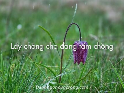Lấy chồng cho đáng tấm chồng