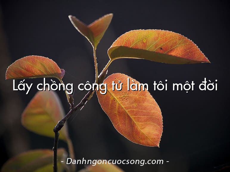 Lấy chồng công tử làm tôi một đời