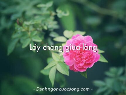 Lấy chồng giữa làng