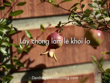 Lấy chồng làm lẽ khỏi lo