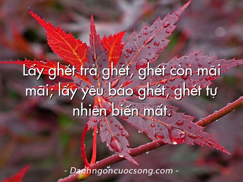 Lấy ghét trả ghét, ghét còn mãi mãi; lấy yêu báo ghét, ghét tự nhiên biến mất.